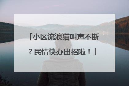 小区流浪猫叫声不断？民情快办出招啦！
