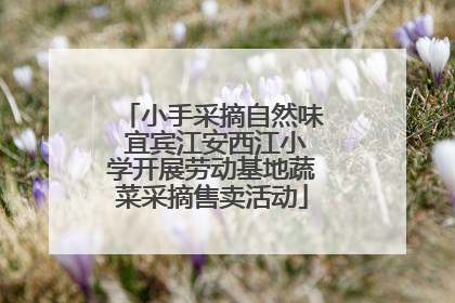 小手采摘自然味 宜宾江安西江小学开展劳动基地蔬菜采摘售卖活动