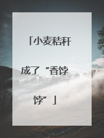 小麦秸秆成了“香饽饽”
