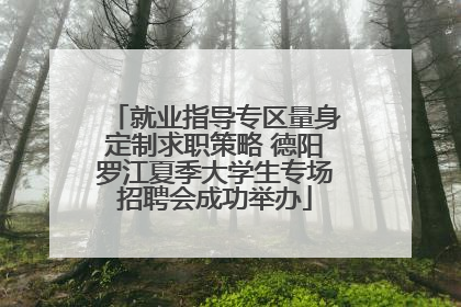 就业指导专区量身定制求职策略 德阳罗江夏季大学生专场招聘会成功举办