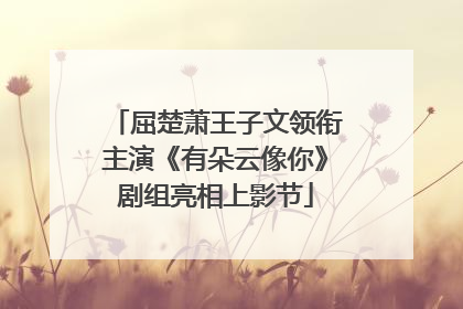 屈楚萧王子文领衔主演《有朵云像你》剧组亮相上影节
