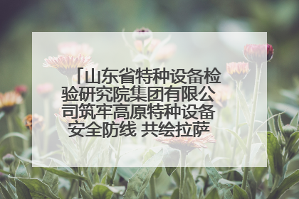 山东省特种设备检验研究院集团有限公司筑牢高原特种设备安全防线 共绘拉萨美好生活画卷