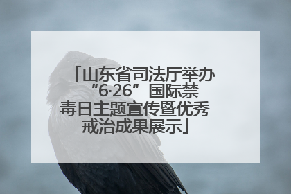 山东省司法厅举办“6·26”国际禁毒日主题宣传暨优秀戒治成果展示