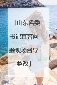 山东省委书记直奔问题现场督导整改