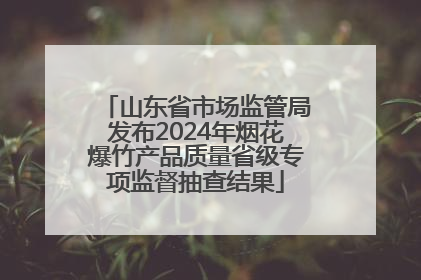 山东省市场监管局发布2024年烟花爆竹产品质量省级专项监督抽查结果