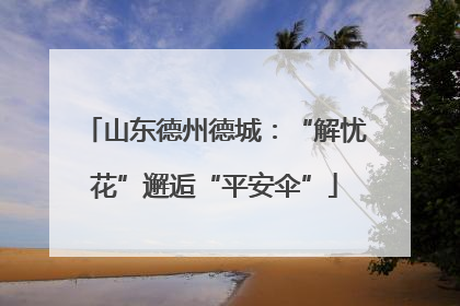 山东德州德城：“解忧花”邂逅“平安伞”