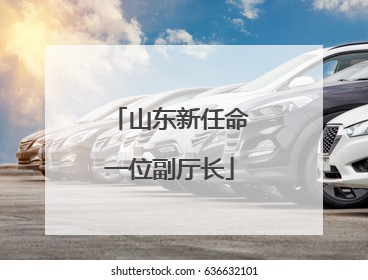 山东新任命一位副厅长