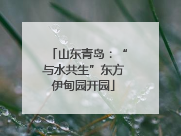 山东青岛：“与水共生”东方伊甸园开园