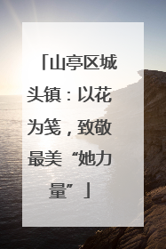 山亭区城头镇：以花为笺，致敬最美“她力量”