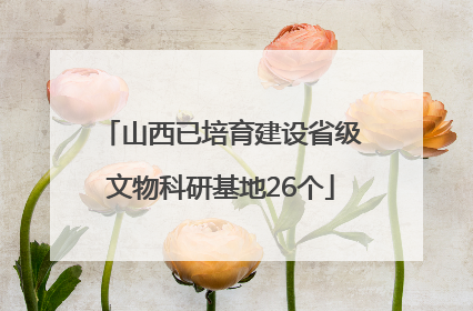 山西已培育建设省级文物科研基地26个