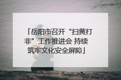 岳阳市召开“扫黄打非”工作推进会 持续筑牢文化安全屏障