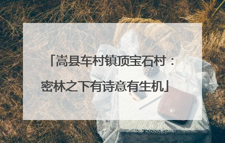 嵩县车村镇顶宝石村：密林之下有诗意有生机