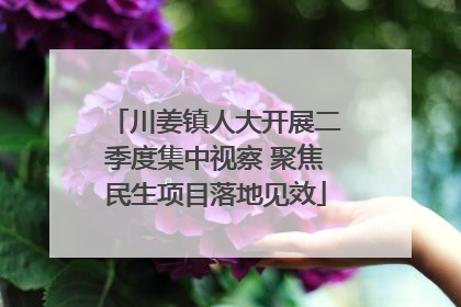 川姜镇人大开展二季度集中视察 聚焦民生项目落地见效