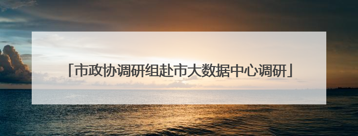 市政协调研组赴市大数据中心调研