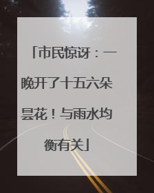 市民惊讶：一晚开了十五六朵昙花！与雨水均衡有关