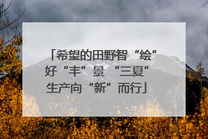 希望的田野智“绘”好“丰”景 “三夏”生产向“新”而行