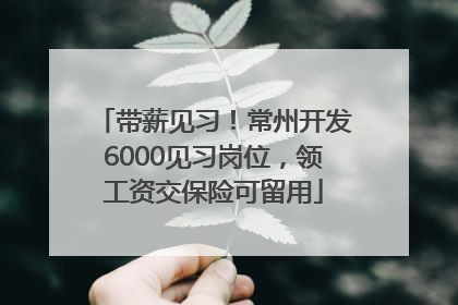 带薪见习！常州开发6000见习岗位，领工资交保险可留用