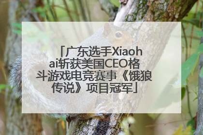 广东选手Xiaohai斩获美国CEO格斗游戏电竞赛事《饿狼传说》项目冠军