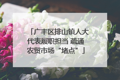 广丰区排山镇人大代表履职担当 疏通农贸市场“堵点”