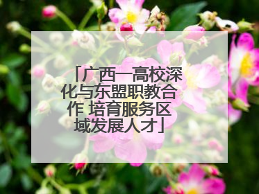 广西一高校深化与东盟职教合作 培育服务区域发展人才