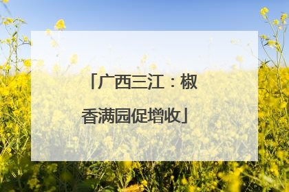 广西三江：椒香满园促增收