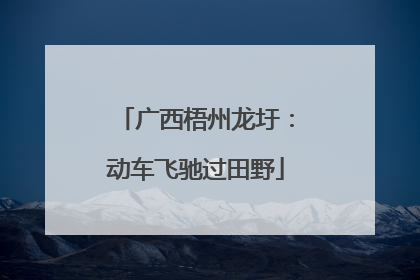 广西梧州龙圩：动车飞驰过田野