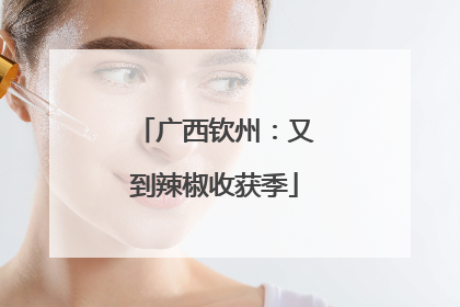 广西钦州：又到辣椒收获季