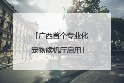 广西首个专业化宠物候机厅启用