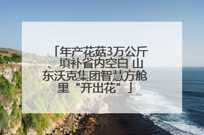 年产花菇3万公斤、填补省内空白 山东沃克集团智慧方舱里“开出花”
