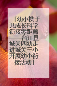幼小携手共成长科学衔接零距离——台江县城关四幼走进城关三小开展幼小衔接活动