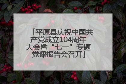 平原县庆祝中国共产党成立104周年大会暨“七一”专题党课报告会召开