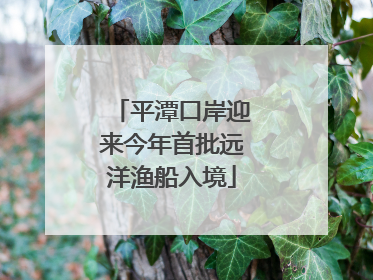 平潭口岸迎来今年首批远洋渔船入境