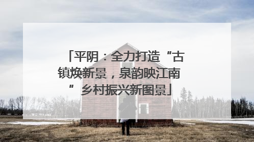 平阴：全力打造“古镇焕新景，泉韵映江南”乡村振兴新图景