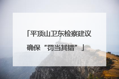 平顶山卫东检察建议确保“罚当其错”