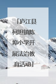 庐江县柯坦镇陈埠小学开展法治教育活动