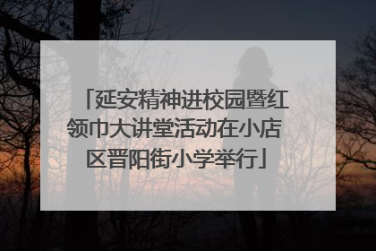 延安精神进校园暨红领巾大讲堂活动在小店区晋阳街小学举行