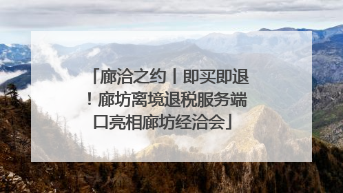 廊洽之约丨即买即退！廊坊离境退税服务端口亮相廊坊经洽会