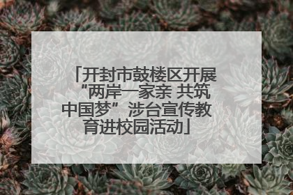 开封市鼓楼区开展“两岸一家亲 共筑中国梦”涉台宣传教育进校园活动