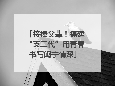 接棒父辈！福建“支二代”用青春书写闽宁情深