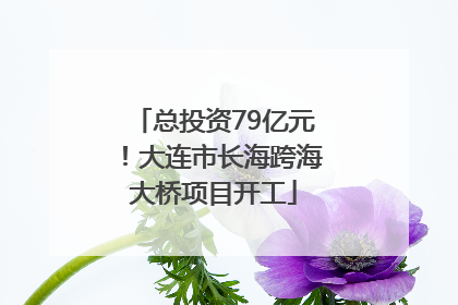总投资79亿元！大连市长海跨海大桥项目开工