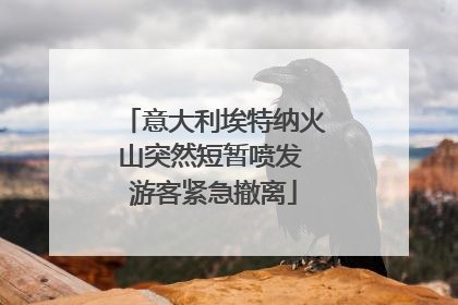 意大利埃特纳火山突然短暂喷发 游客紧急撤离