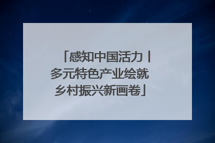感知中国活力丨多元特色产业绘就乡村振兴新画卷