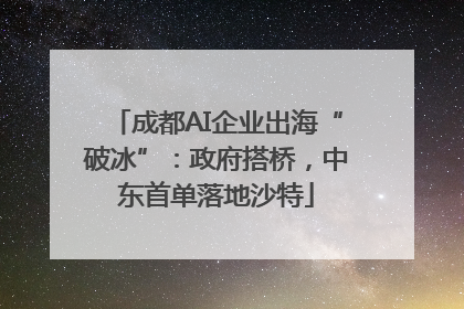成都AI企业出海“破冰”：政府搭桥，中东首单落地沙特