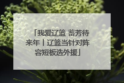 我爱辽篮 蓄芳待来年丨辽篮当针对阵容短板选外援