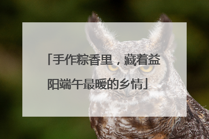 手作粽香里，藏着益阳端午最暖的乡情