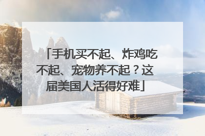 手机买不起、炸鸡吃不起、宠物养不起？这届美国人活得好难
