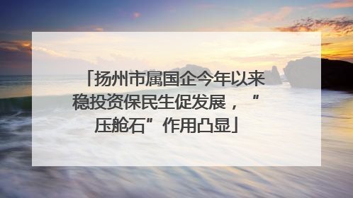 扬州市属国企今年以来稳投资保民生促发展，“压舱石”作用凸显