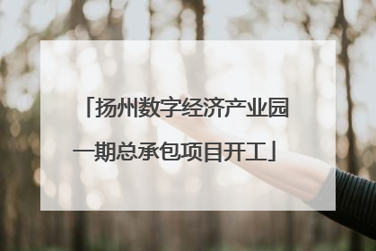 扬州数字经济产业园一期总承包项目开工