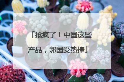 抢疯了！中国这些产品，邻国受热捧