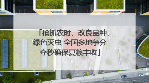 抢抓农时、改良品种、绿色灭虫 全国多地争分夺秒确保夏粮丰收